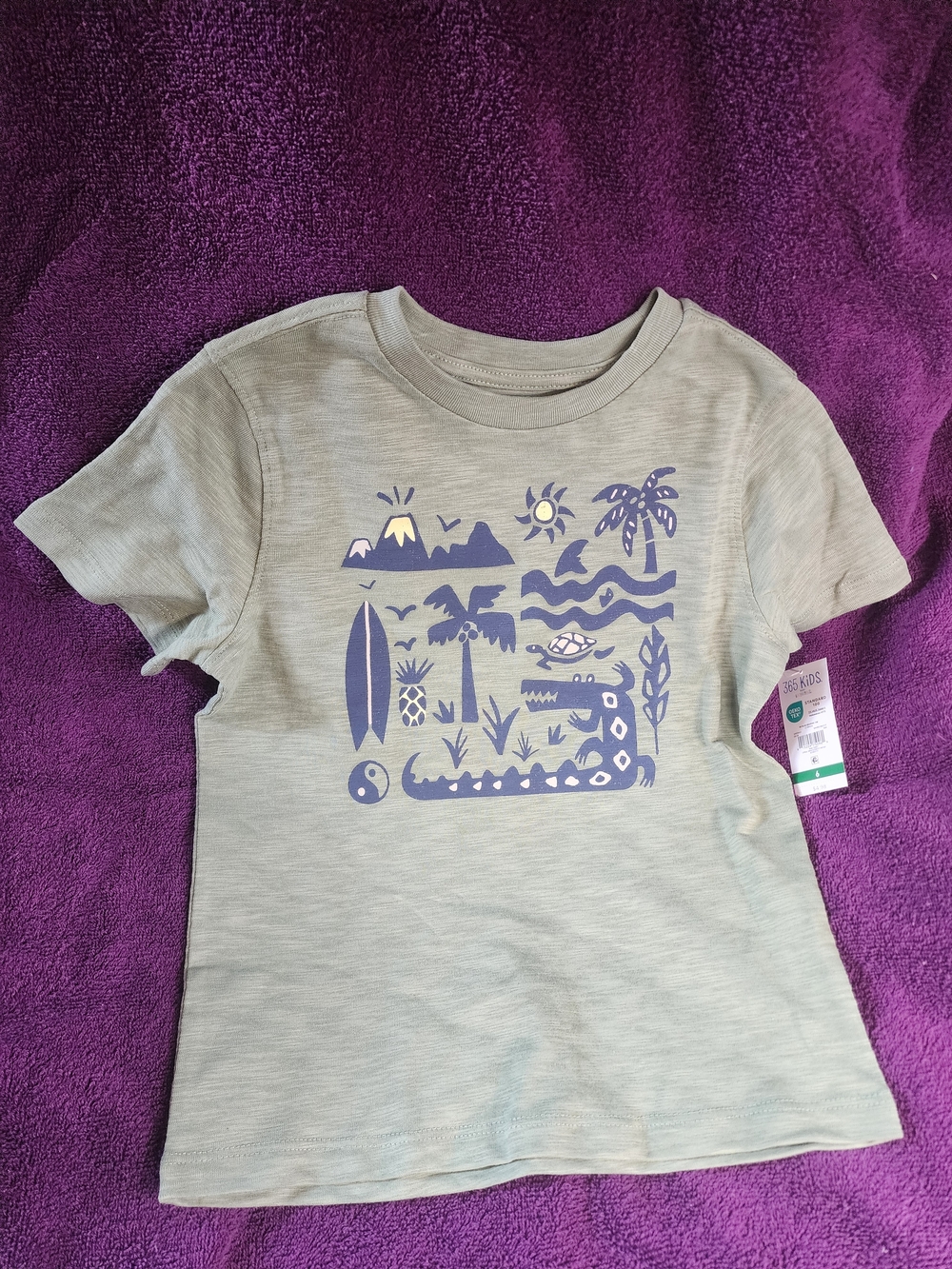 Boys Short-Sleeve Graphic Tee in Light Green with Navy Print